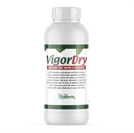VIGORDRY ML 500